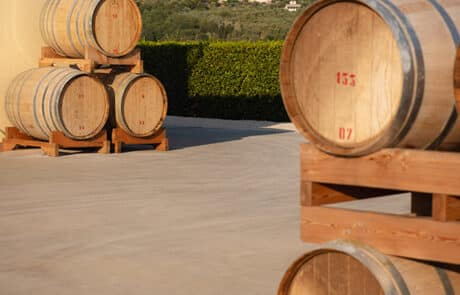 Le Torri Esterni Piscina 21